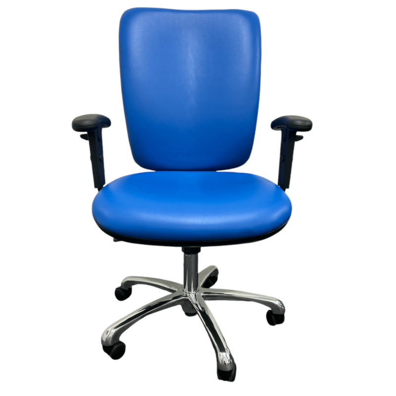 Fairview Ergo Goblin Back