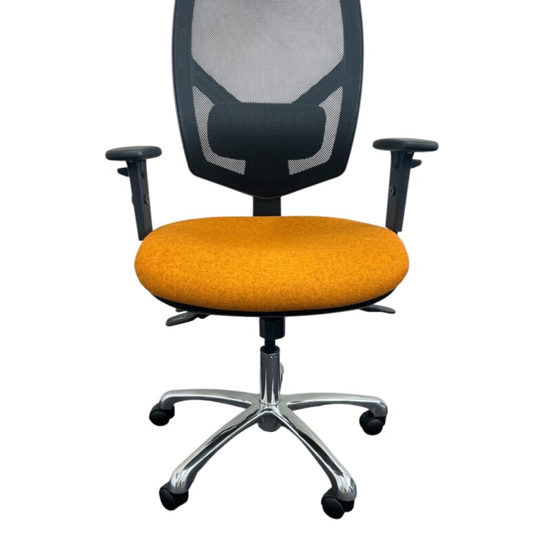 Fairview Ergo M Mesh Back
